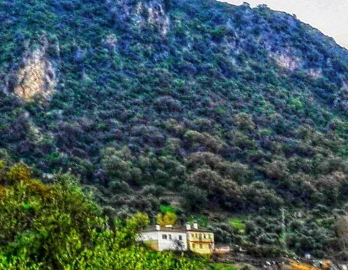 La Buhardilla de Torrecillas El Bosque Exterior foto