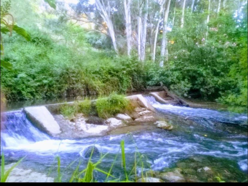 La Buhardilla de Torrecillas El Bosque Exterior foto